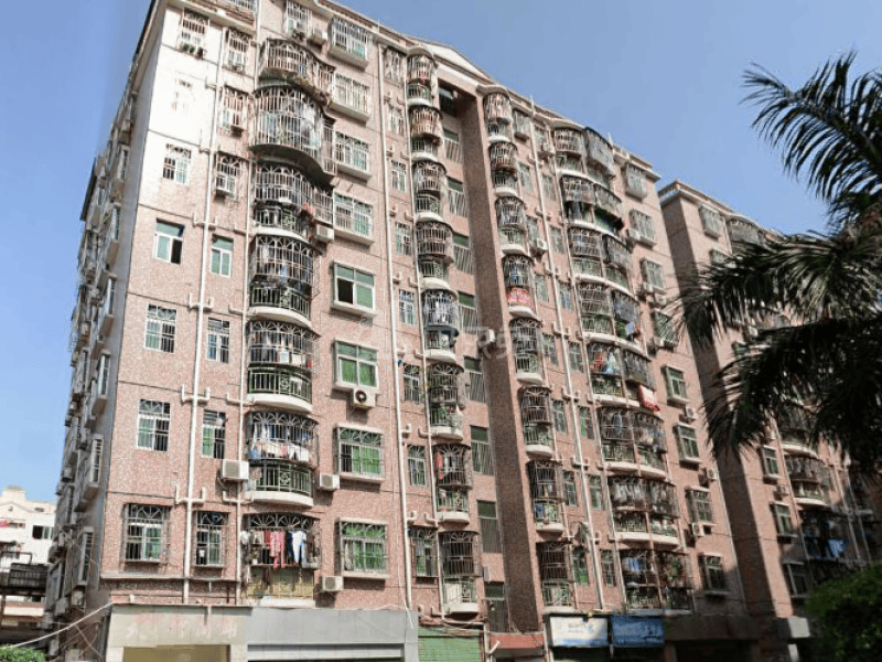 荔园新村（南山）3858536周边环境图8