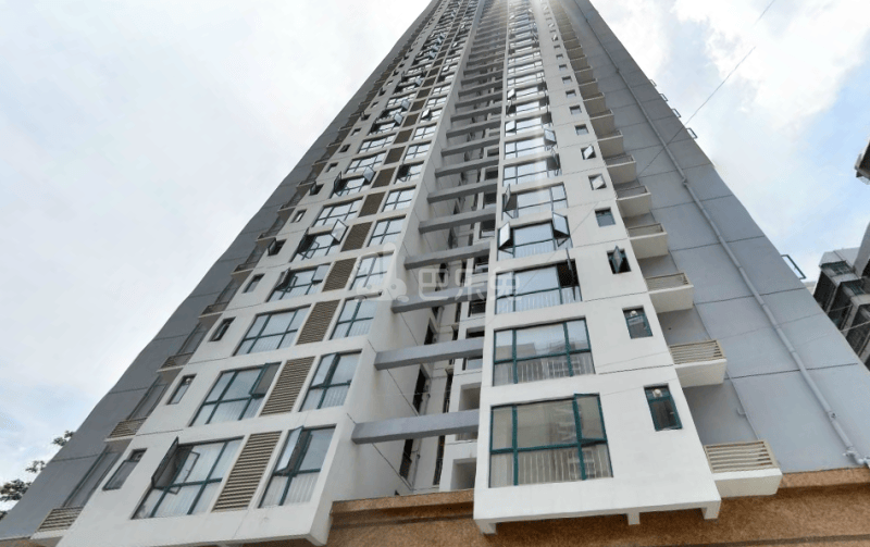 莲丰雅苑11995681周边环境图16