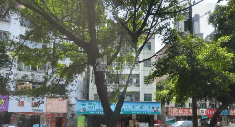 庭苑公寓1290489周边环境图15