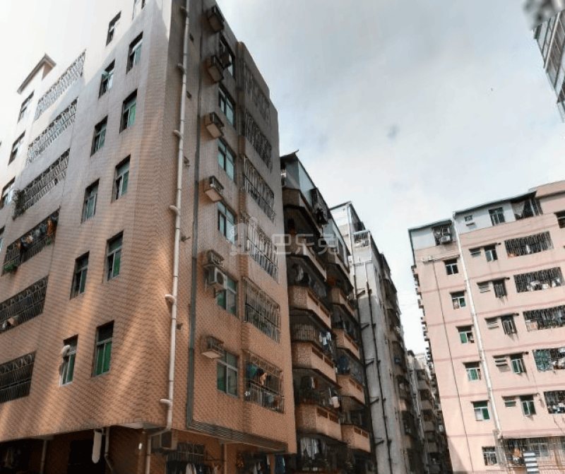 新洲南村11959032周边环境图4