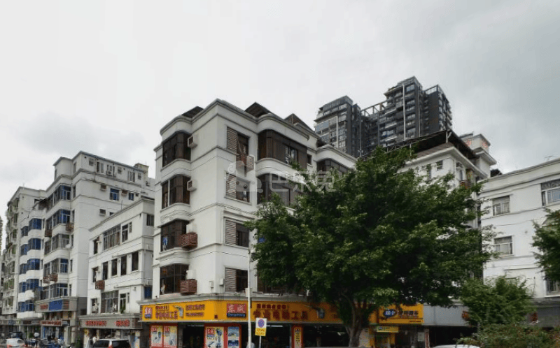 新洲南村11959032周边环境图6