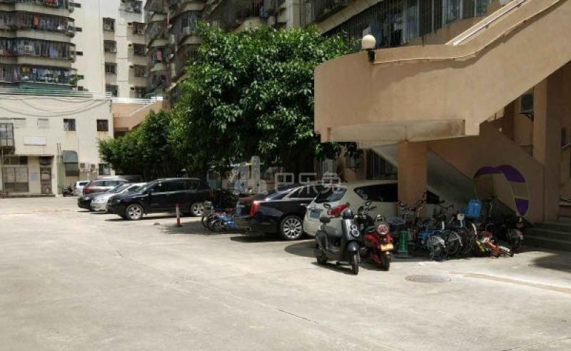 曙光花园6319163周边环境图9