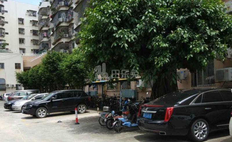 曙光花园6319163周边环境图11