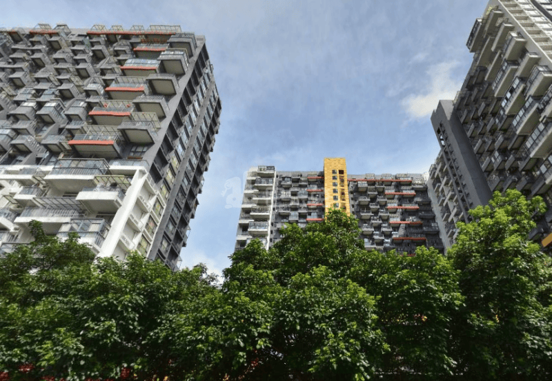 花样年花乡家园4945329周边环境图3