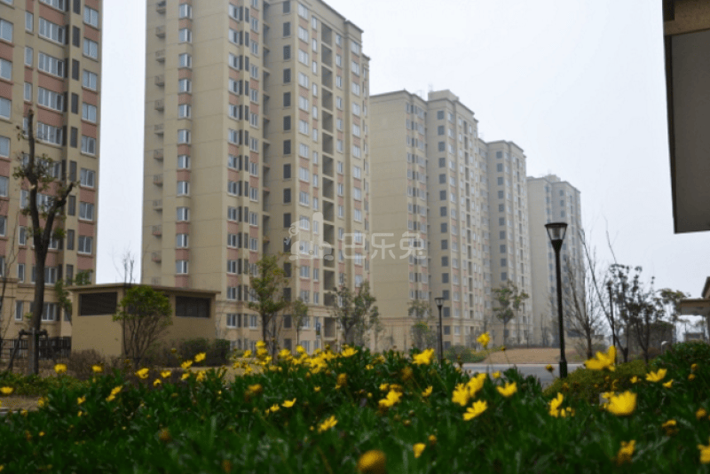 江晖苑2992871周边环境图9