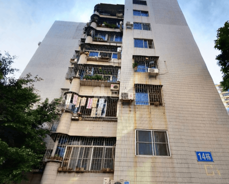 海王小区1526806周边环境图24