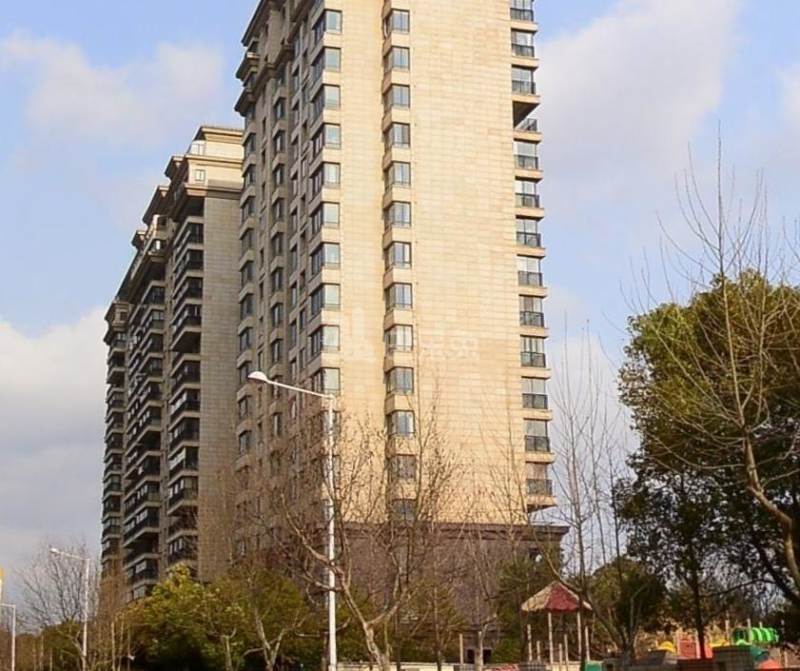 天正滨江10726893周边环境图8