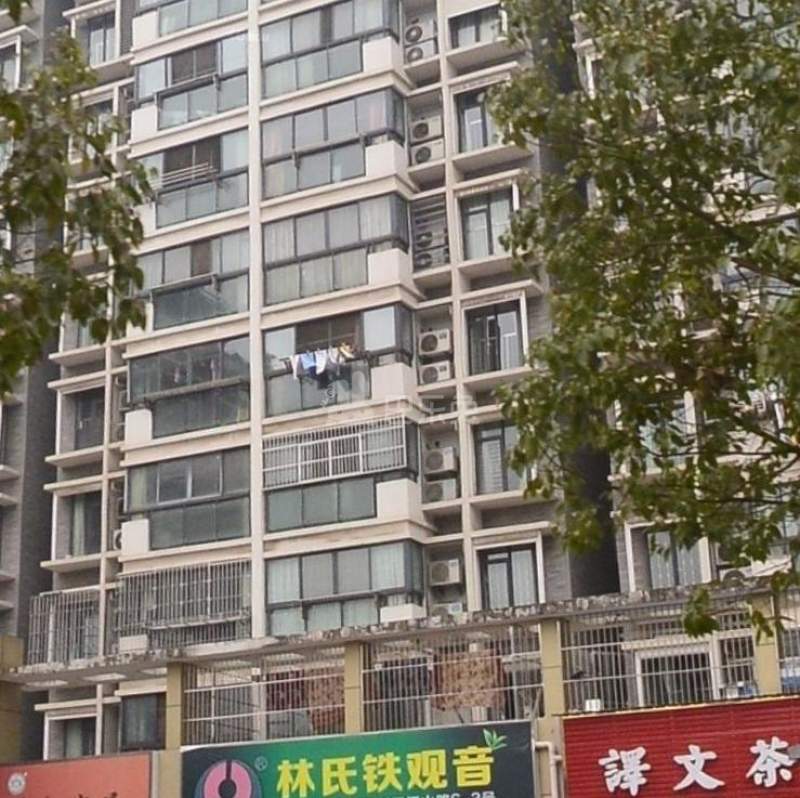 弘瑞广场西园10388970周边环境图9