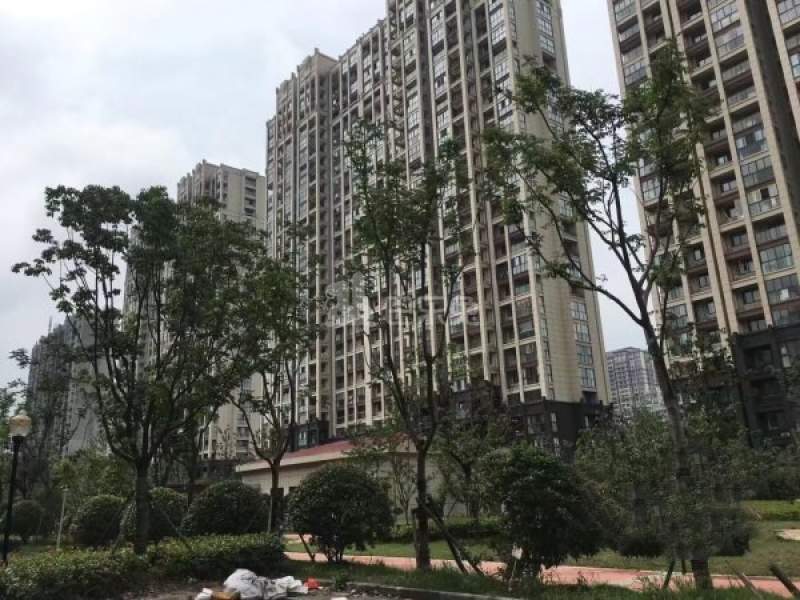 城东新苑13506568周边环境图18