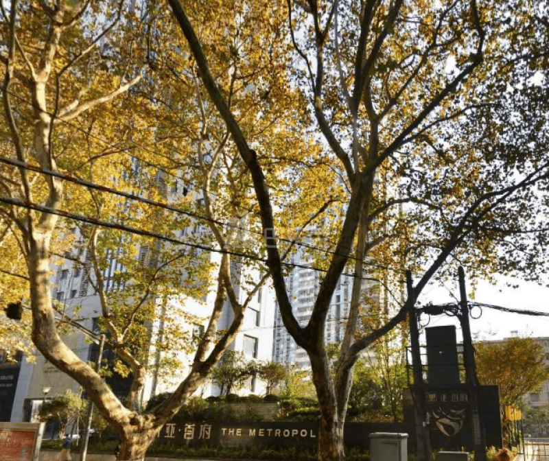 斯亚首府12507892周边环境图1