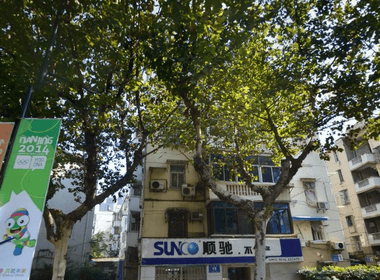 高淳碧桂园 2室0厅0卫