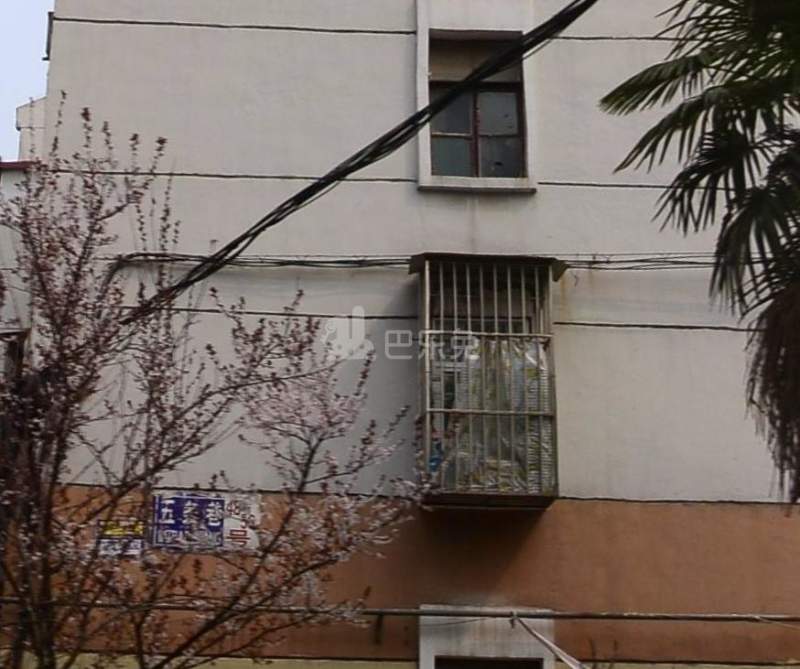 五条巷小区东区12552892周边环境图1