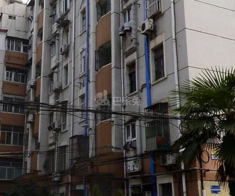 五条巷小区东区12552892周边环境图2