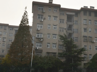 扬子八村 1室0厅0卫