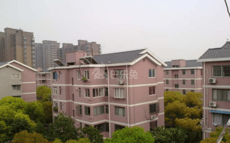 海通新村5372786周边环境图9