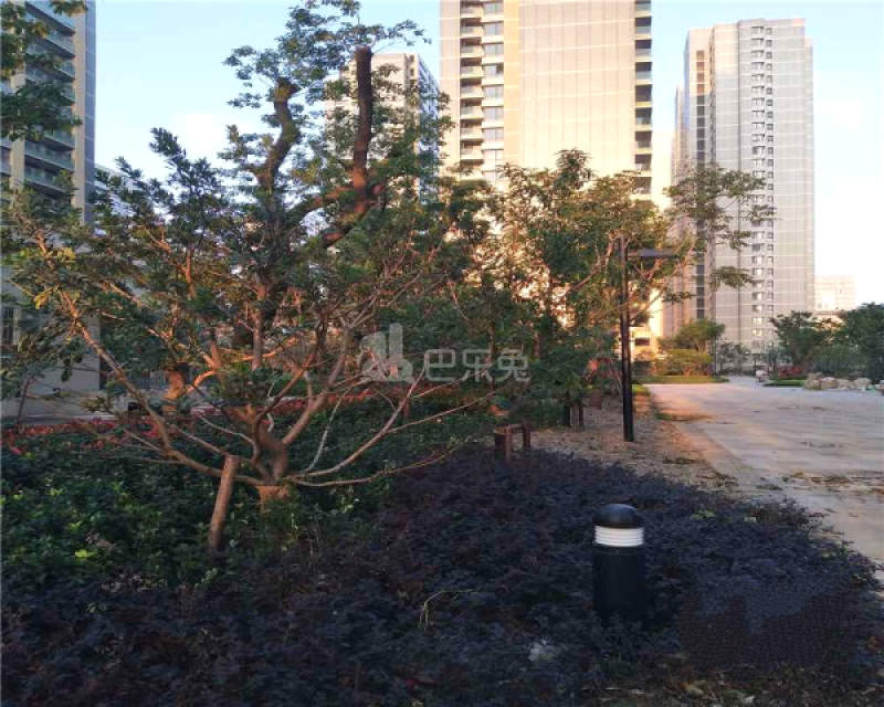 地产尚海郦景6162125周边环境图7