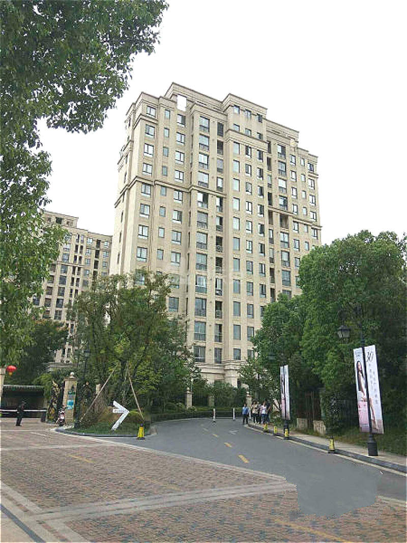 大华诺斐墅（大华锦绣华城17区）8697044周边环境图9