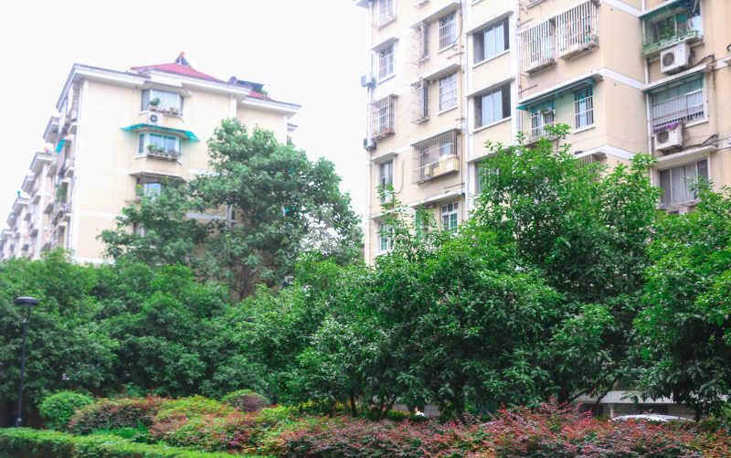 采荷东区18418569周边环境图5