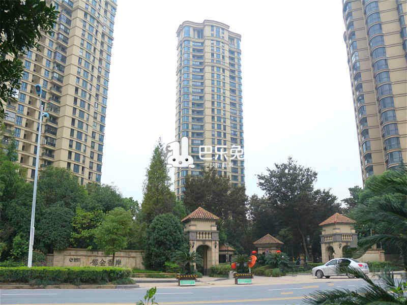 绿城西子郁金香岸