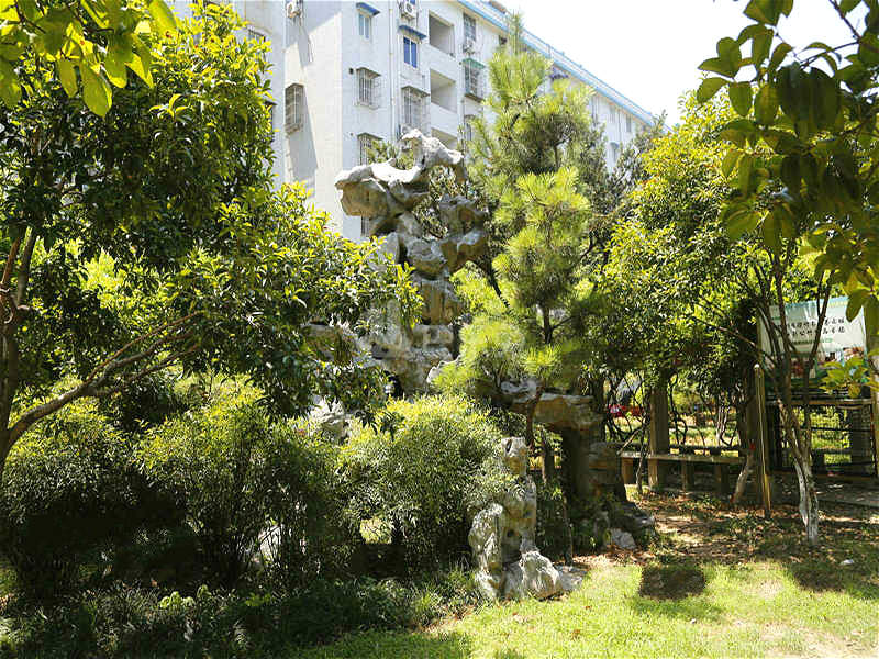 金田花园8681490周边环境图11