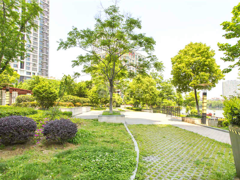 百家湖花园1期12518325周边环境图8