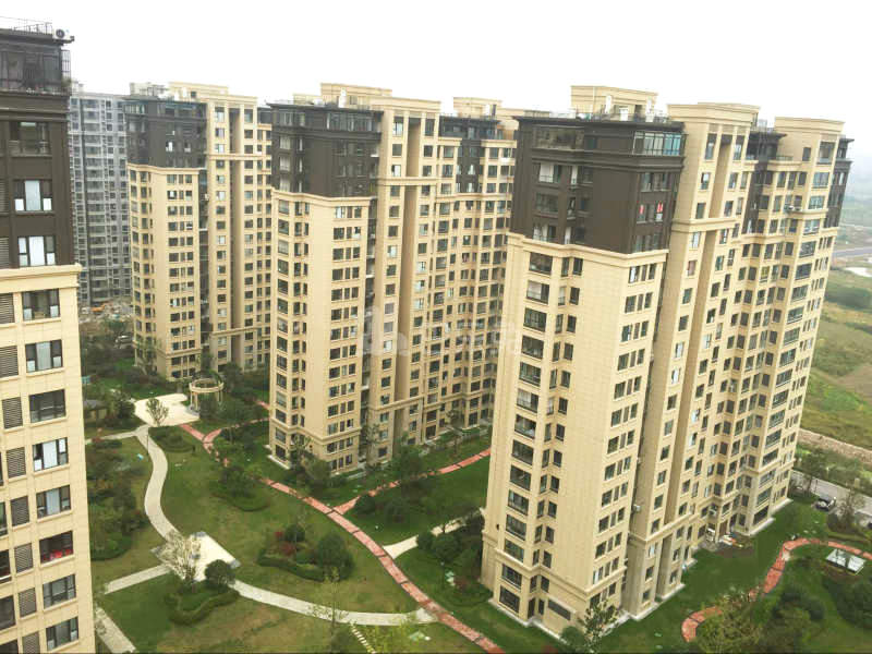 保利梧桐语12518725周边环境图6