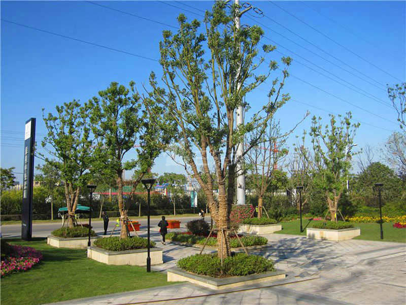 保利中央公园兰台花园东苑12671884周边环境图9