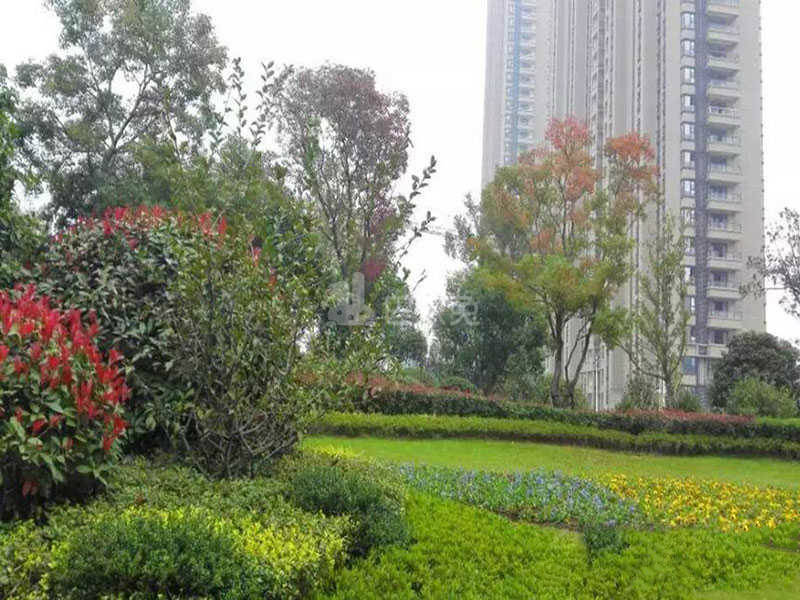 保利中央公园兰台花园东苑12671884周边环境图10