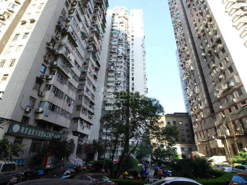 北门桥路高层住宅小区12440927周边环境图9