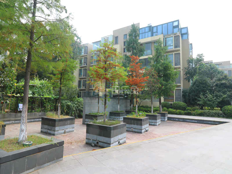 滨江奥城听雨苑13074185周边环境图10