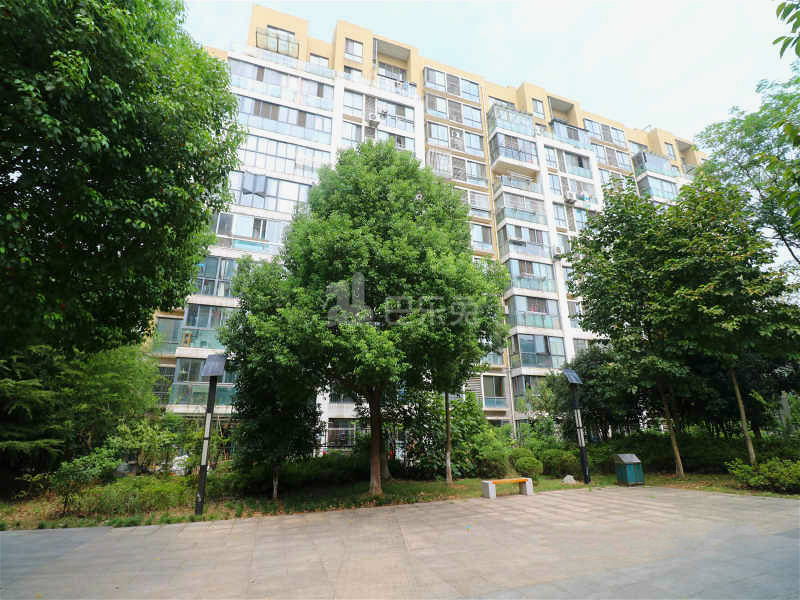 滨江奥城听雨苑13074185周边环境图11