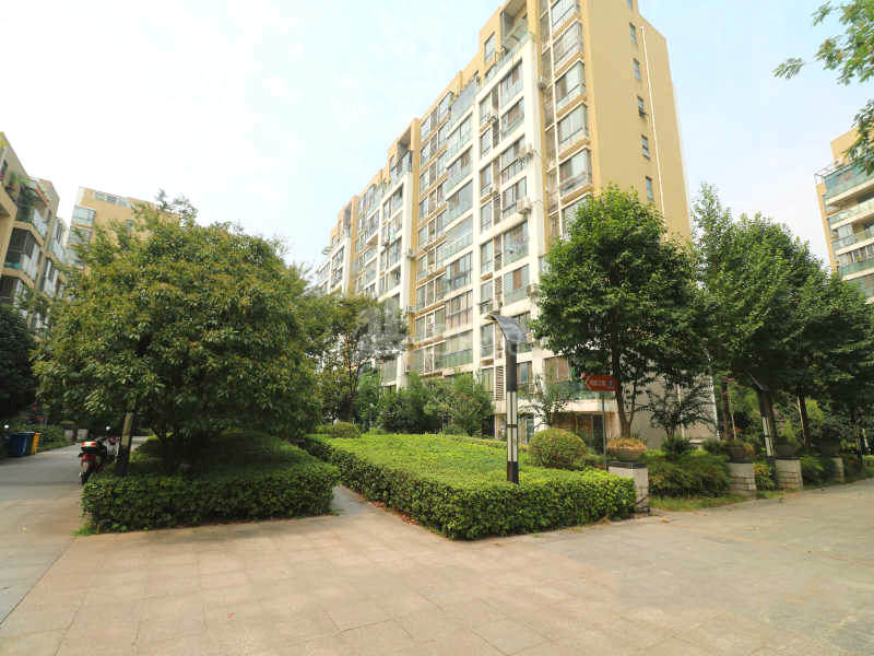 滨江奥城听雨苑13074185周边环境图13