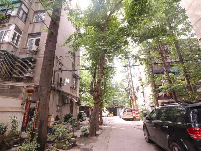 北四卫头12516210周边环境图12