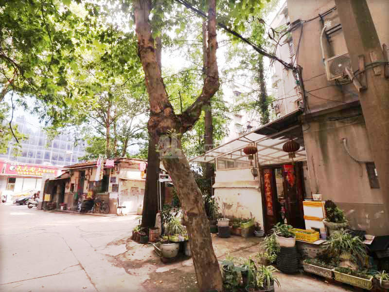 北四卫头12516210周边环境图16