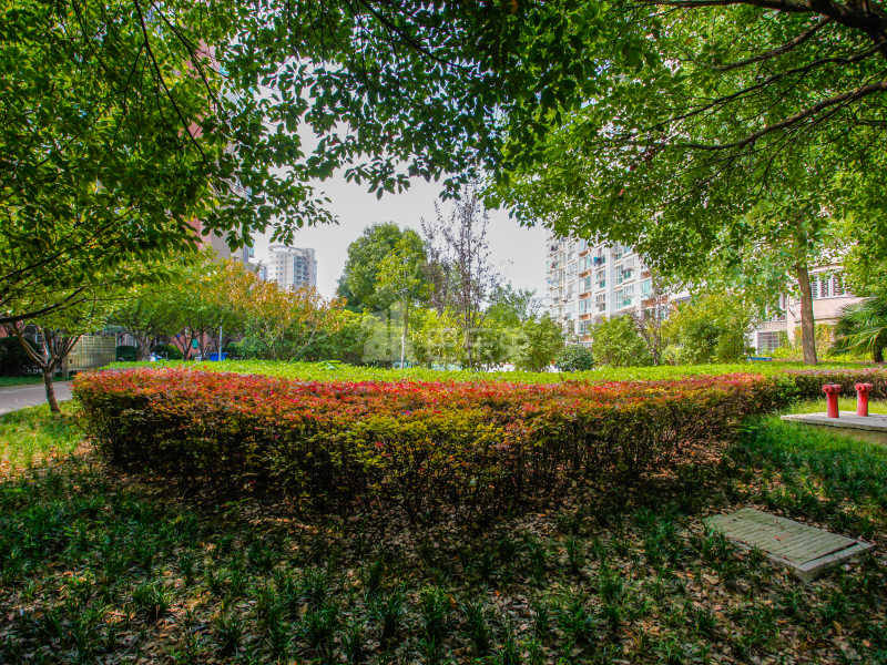 翠岛花城菊香苑12949845周边环境图1