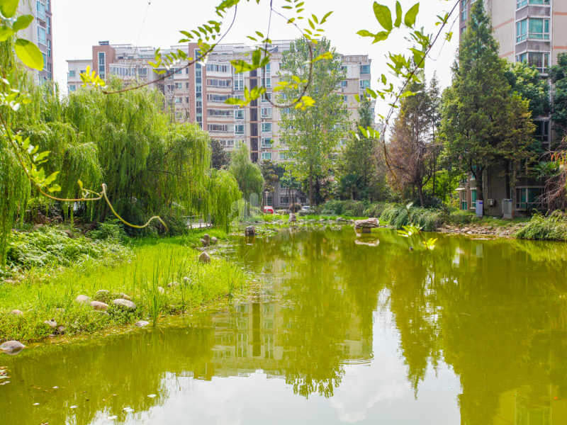 翠岛花城蔷薇苑13583507周边环境图1