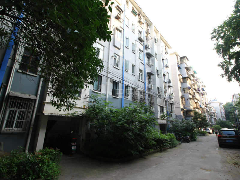 豆菜桥小区12423428周边环境图8