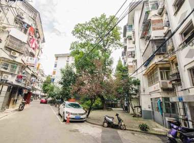 金陵闸小区 1室0厅0卫