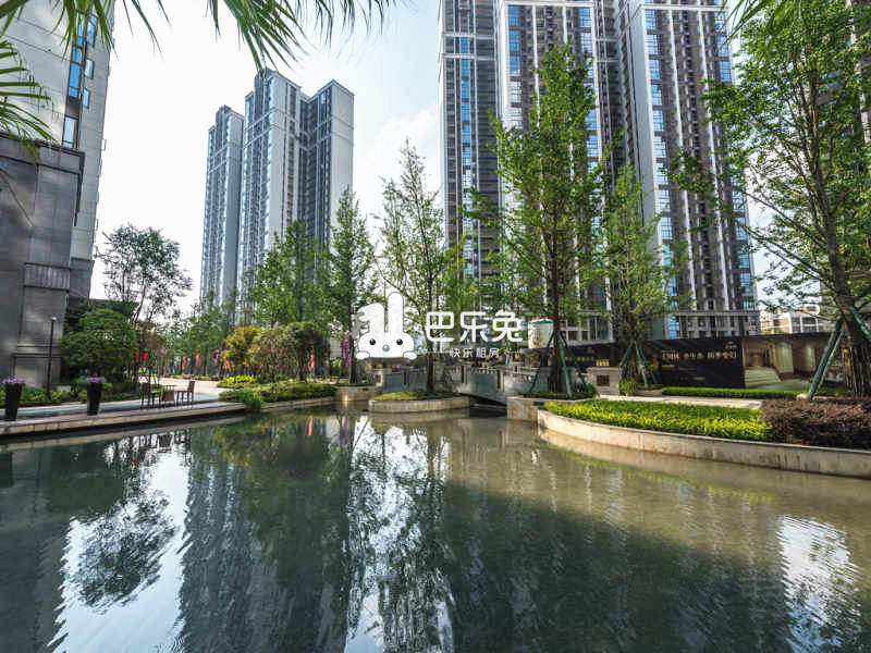 戛纳湾金棕榈
