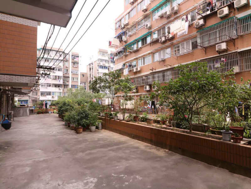 冶山道院小区11739455周边环境图12