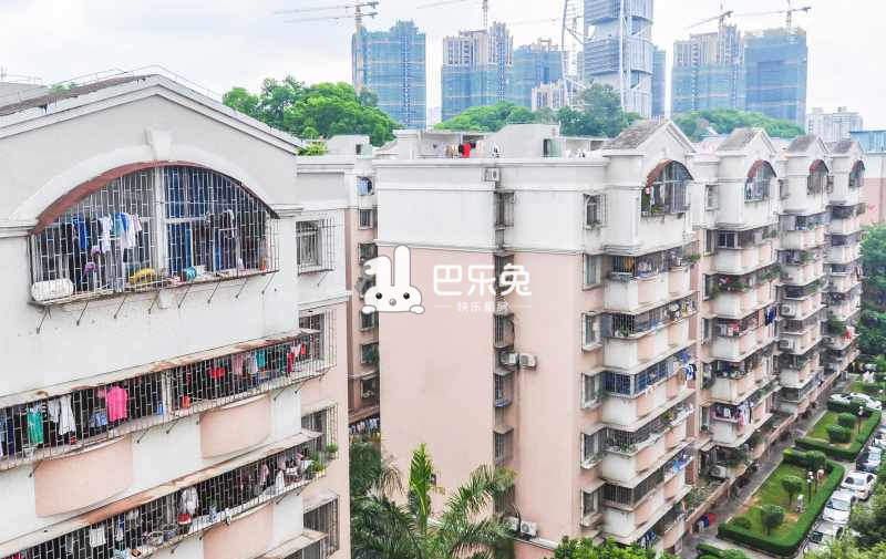 金竹花园