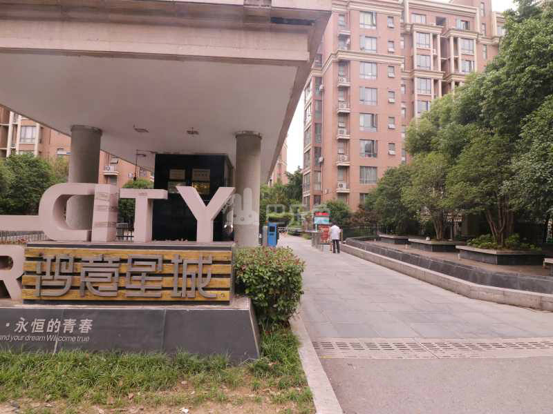 鸿意星城12947686周边环境图4