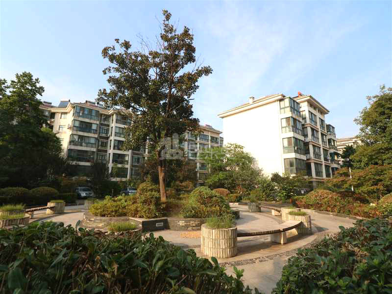 江南青年城楚襄园11572238周边环境图2