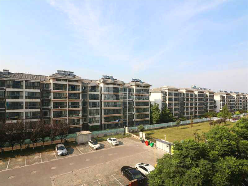 江南青年城楚襄园11572238周边环境图3