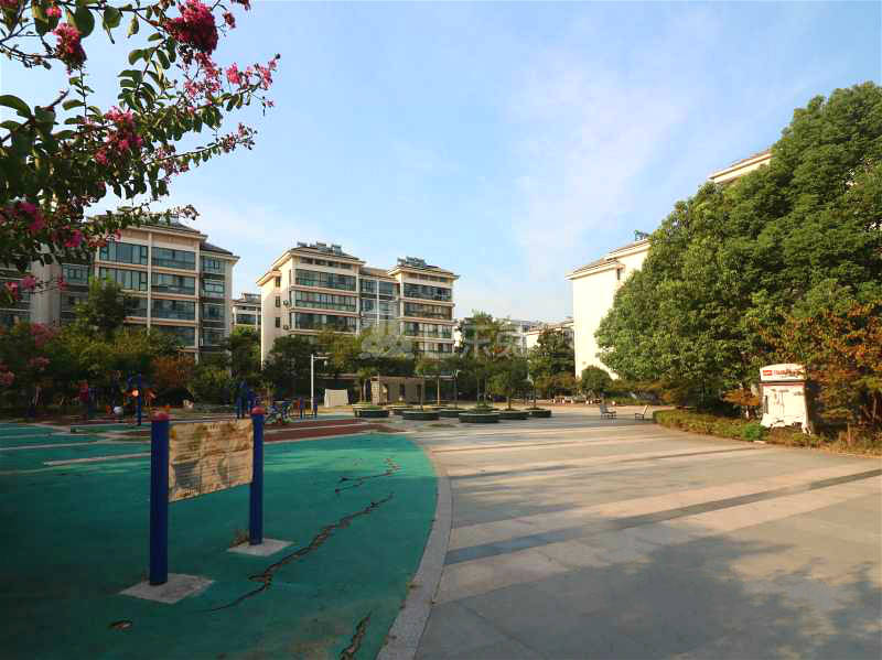 江南青年城楚襄园11572238周边环境图4