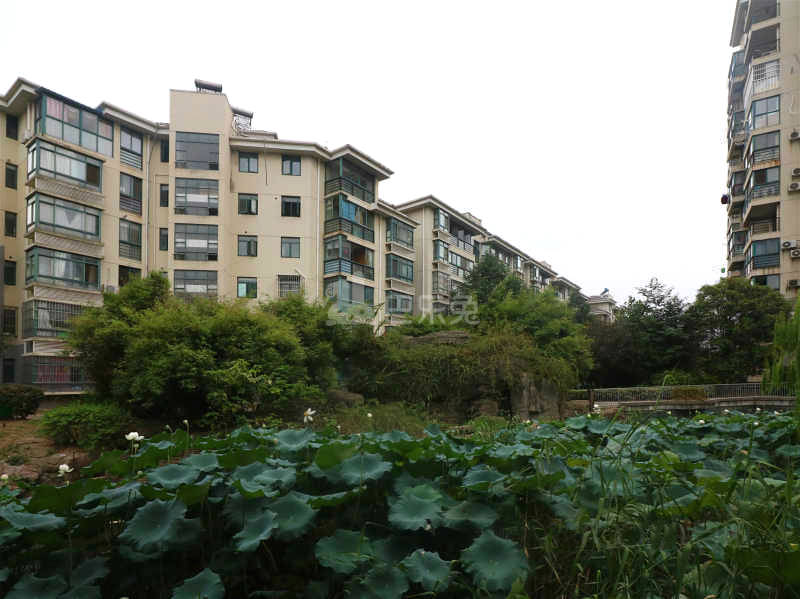 江南青年城翠湾苑13332452周边环境图13