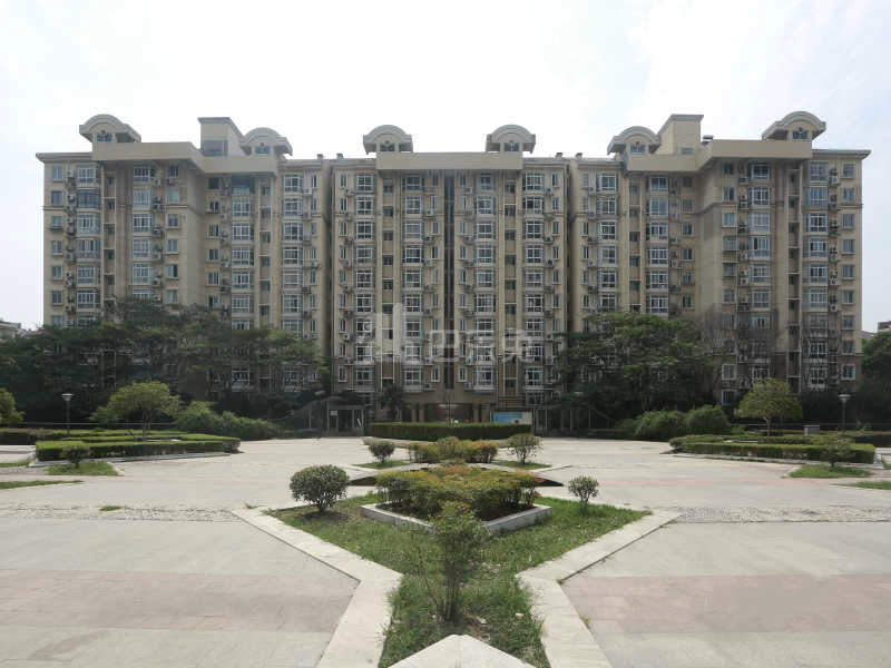 龙凤花园12408933周边环境图0