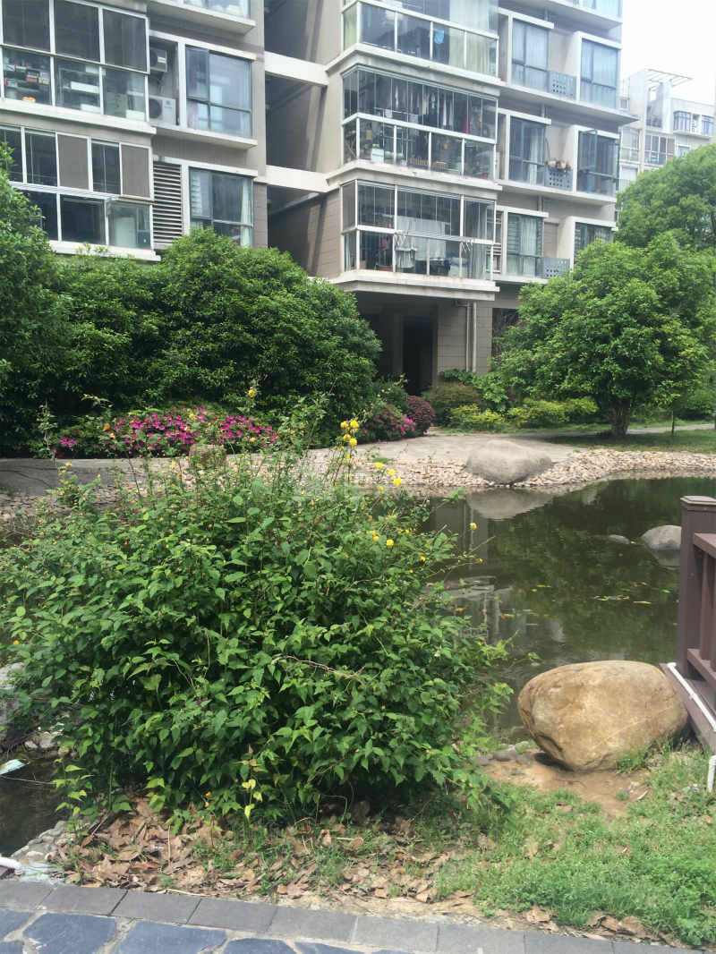 金基翠城13491421周边环境图3