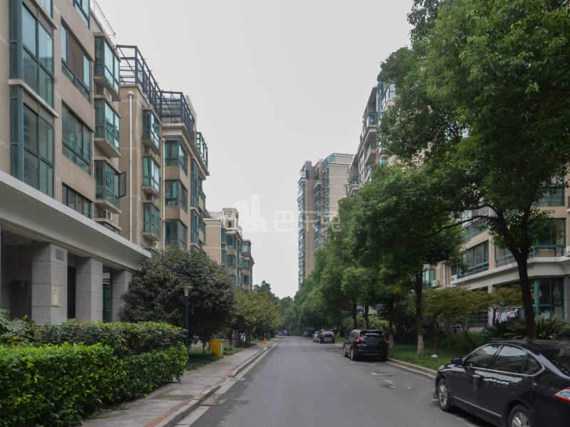 赛世香樟园12675986周边环境图9