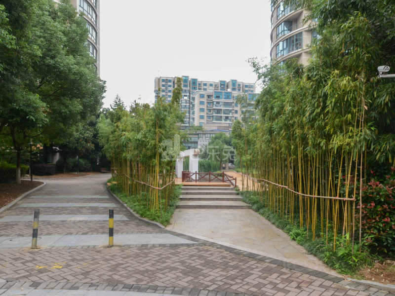 赛世香樟园12675986周边环境图12